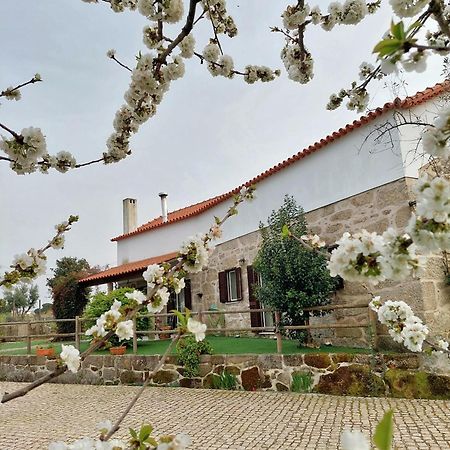A Casa Do Soito Villa Oliveira do Hospital Buitenkant foto